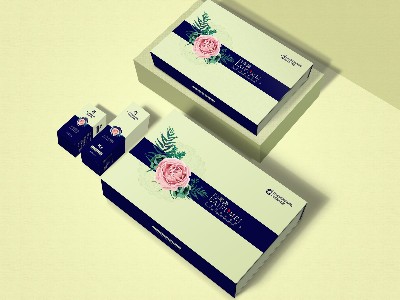 化妝品紙盒生產(chǎn)-河南點(diǎn)創(chuàng)包裝